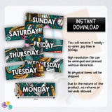 Flash Cards - Days of the Week Headers Bold Green (Digital Download)